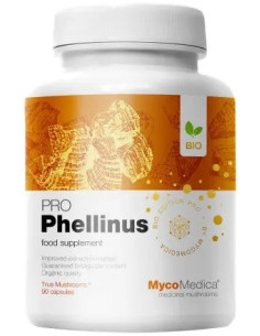 MycoMedica Phellinus linteus PRO - 32% beta 1,3/1,6 D glukanów - 90 kaps.