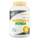 Różeniec Górski Rhodiola Rosea 500mg 90 tab.